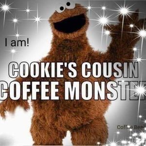 Meet your Posher, Kim